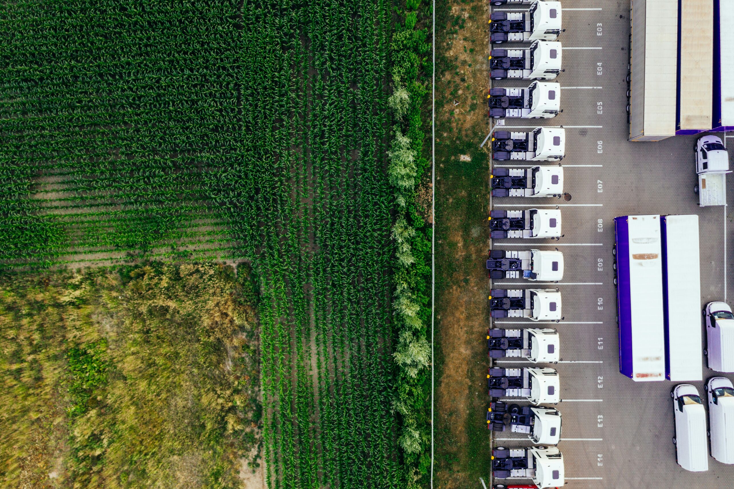 Poids lourd sur route — directeur de transport externe
